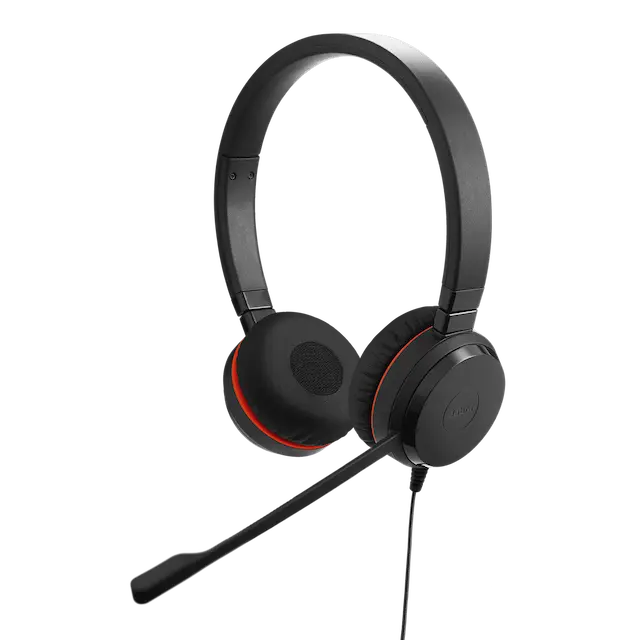 Jabra Evolve 20 Stereo / Mono Image